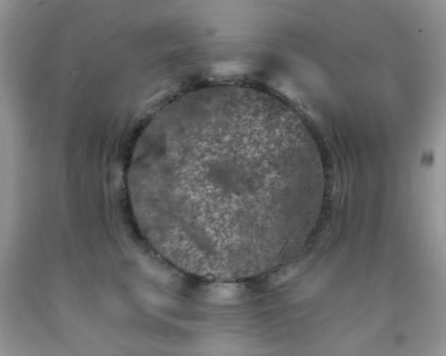 X0000092030711200709201612