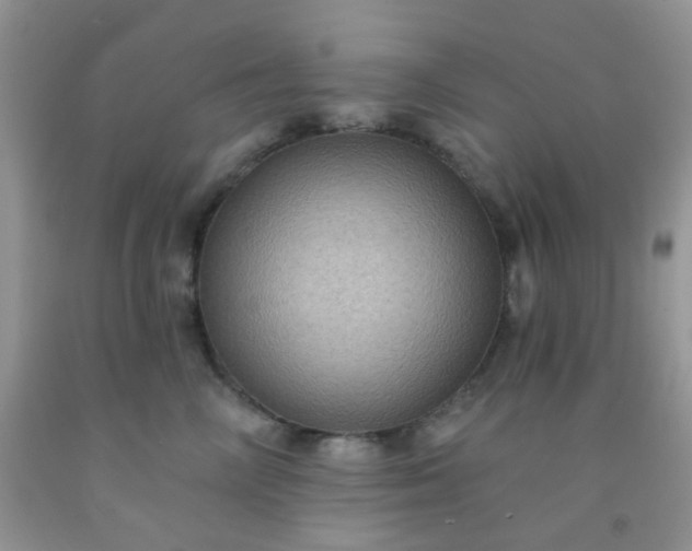 X0000092030714200709201612