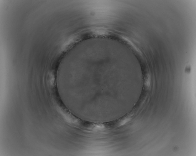 X0000092030715200709201612