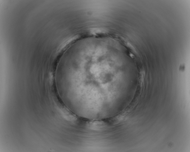 X0000092030716200709201612