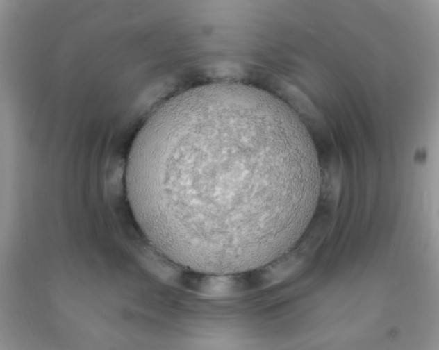 X0000092030717200709201612