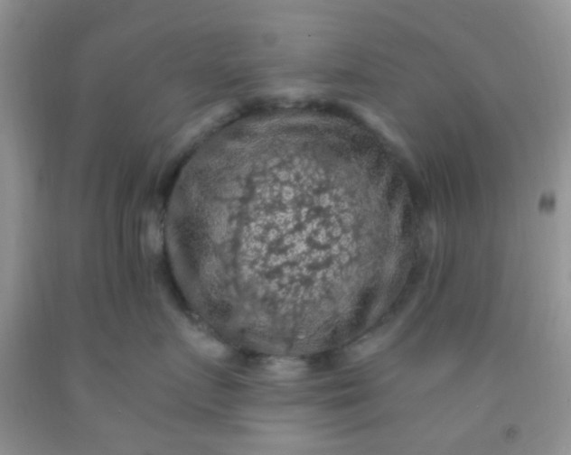 X0000092030719200709201612