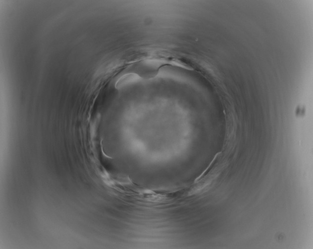 X0000092030720200709201612