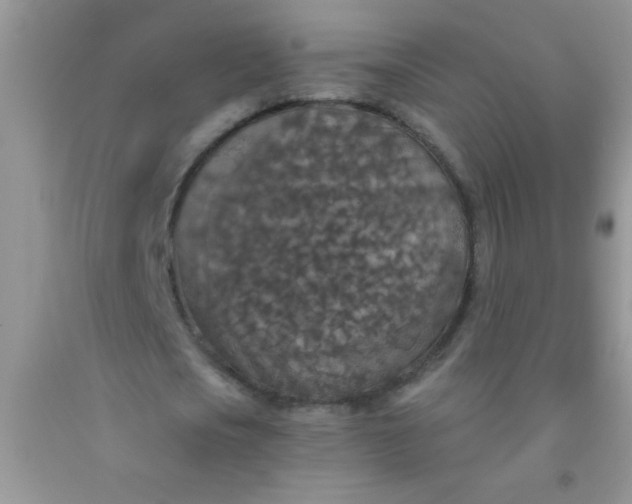 X0000092030721200709201611