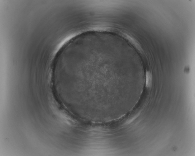 X0000092030723200709201611