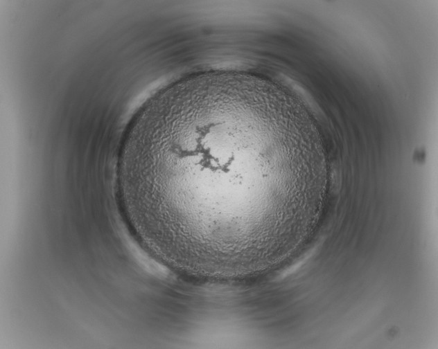 X0000092030725200709201611