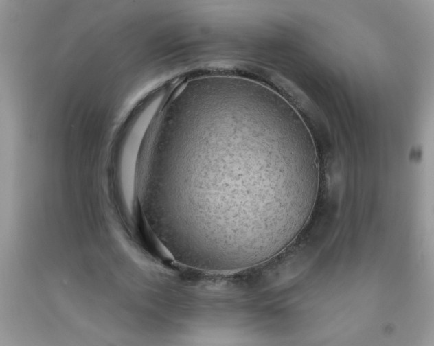 X0000092030728200709201611