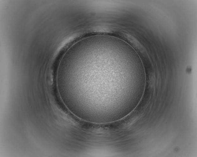 X0000092030731200709201611