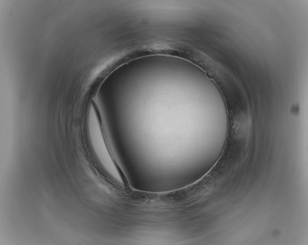 X0000092030732200709201611