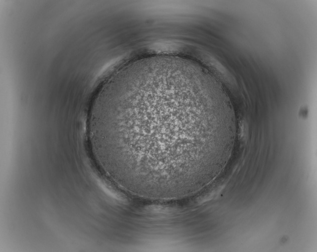 X0000092030733200709201611