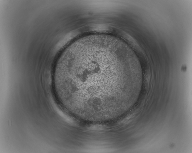 X0000092030734200709201611