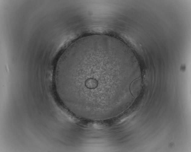 X0000092030739200709201611