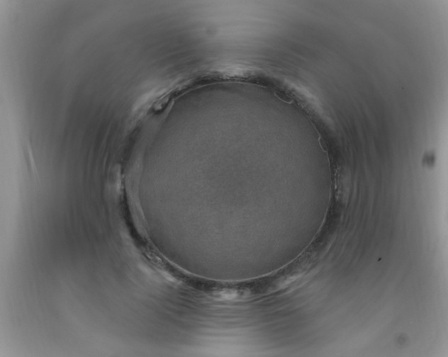 X0000092030740200709201611