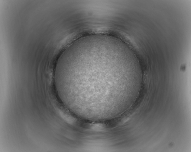 X0000092030741200709201611