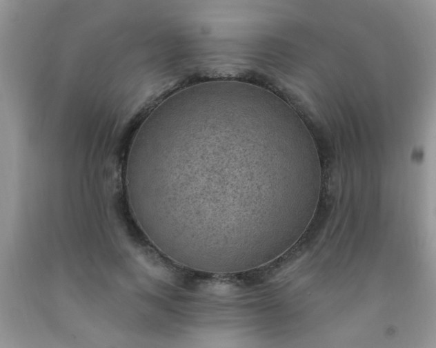 X0000092030743200709201611