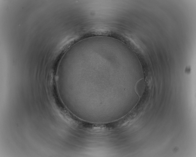 X0000092030744200709201612