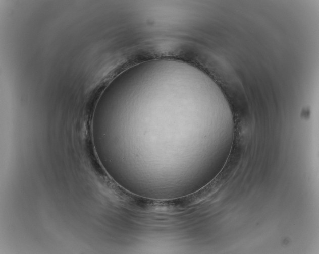 X0000092030746200709201612