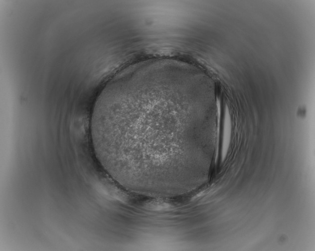 X0000092030747200709201612