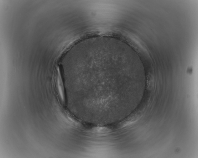 X0000092030748200709201612