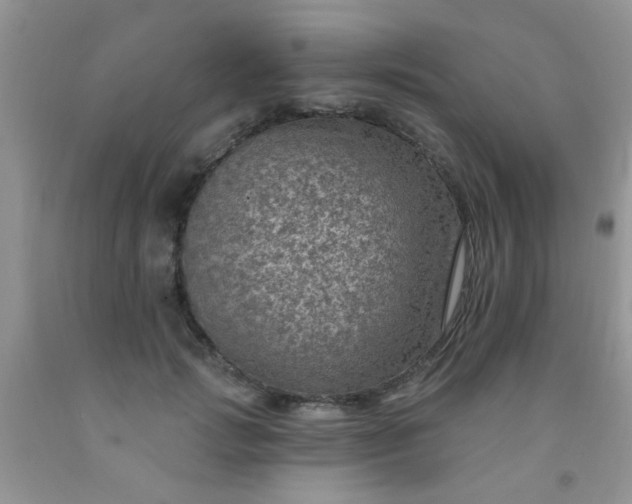 X0000092030749200709201612