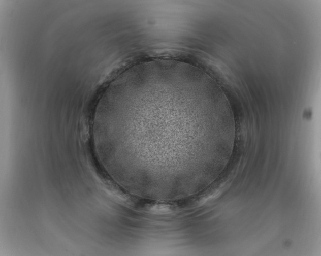 X0000092030751200709201612