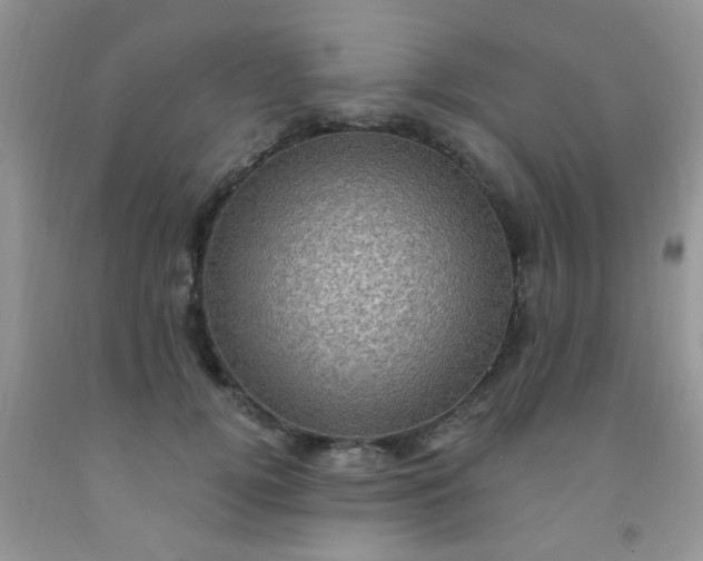 X0000092030752200709201612