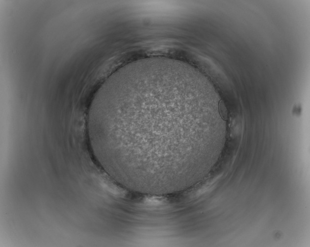 X0000092030753200709201612