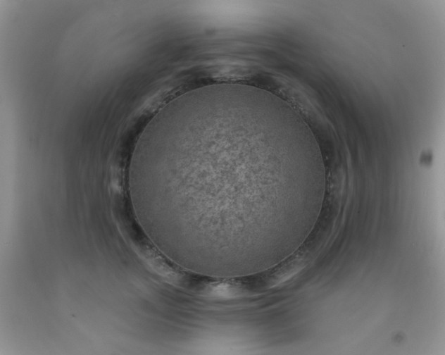 X0000092030755200709201612