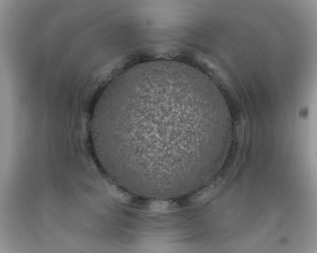 X0000092030757200709201612