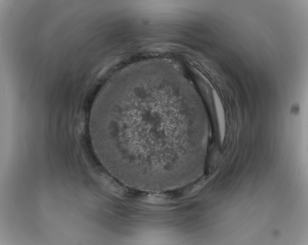 X0000092030758200709201612