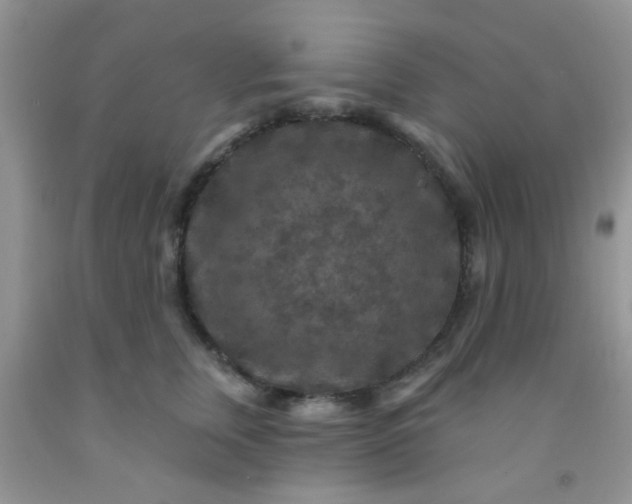 X0000092030759200709201612