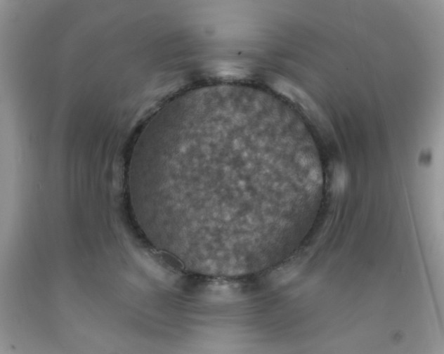 X0000092030760200709201612