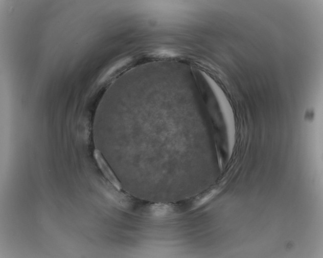 X0000092030762200709201612