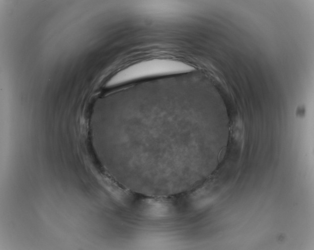 X0000092030763200709201612