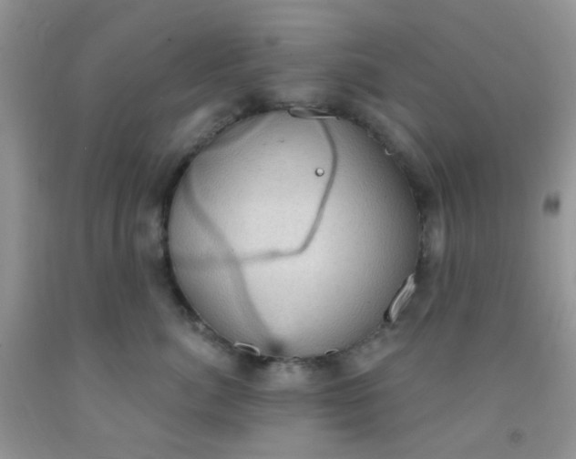 X0000092030764200709201612