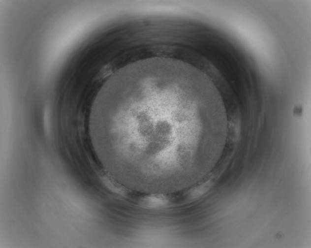 X0000092030765200709201612