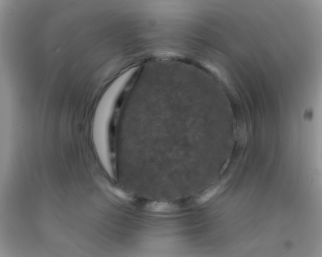 X0000092030766200709201612