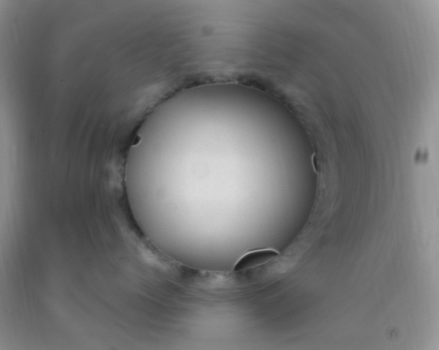 X0000092030768200709201612