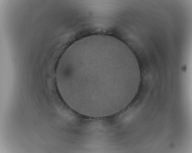 X0000092030769200709201611