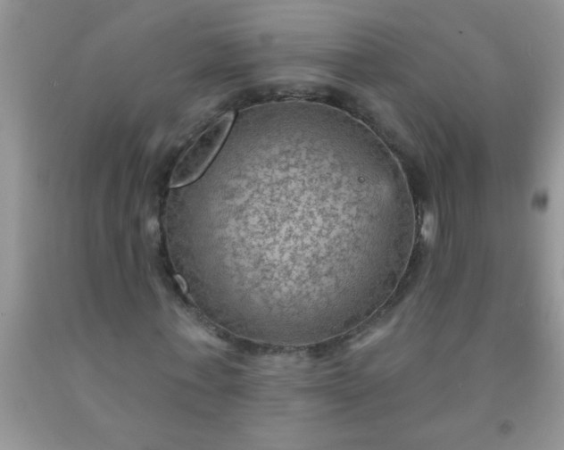 X0000092030771200709201611