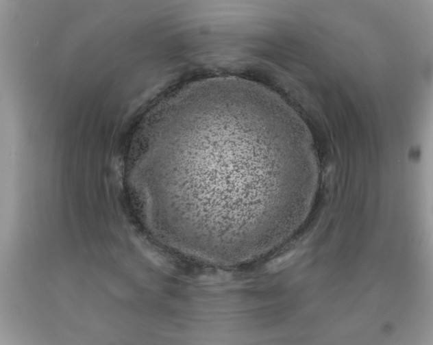 X0000092030772200709201611