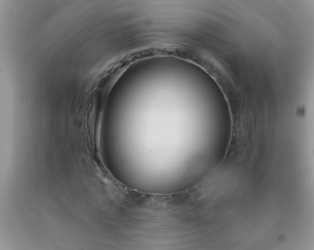 X0000092030773200709201611