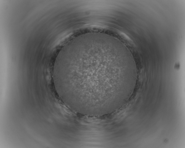 X0000092030774200709201611