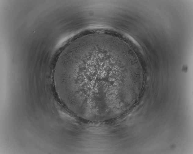 X0000092030775200709201611