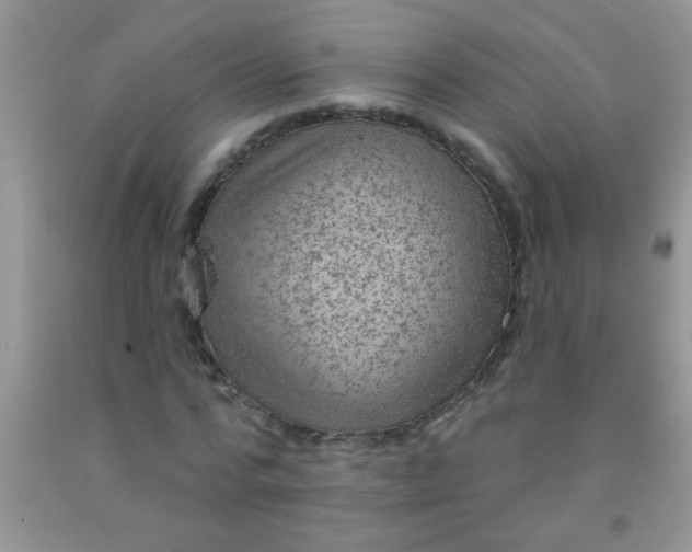 X0000092030776200709201611