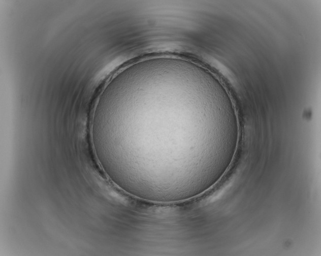 X0000092030778200709201611