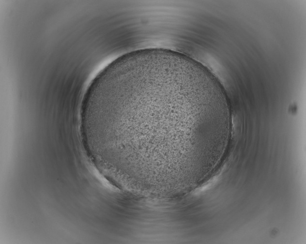 X0000092030780200709201611