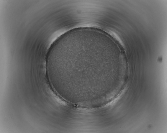 X0000092030781200709201611