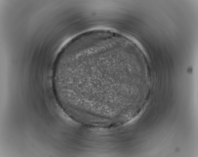 X0000092030783200709201611