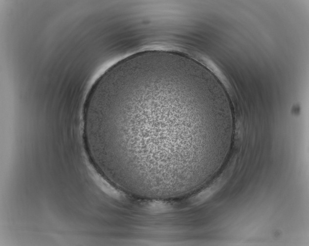 X0000092030787200709201611